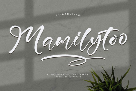 Evaluating the Mamilytoo Script Font for Modern Design Projects