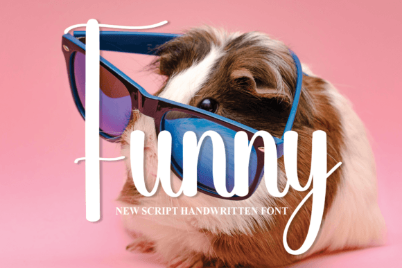 Funny Font: A Practical Guide to Its Sweet, Handwritten Style for Your Designs
