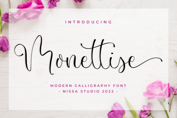 Monettise: Understanding the Delicate Script Font and Its Place in Modern Design